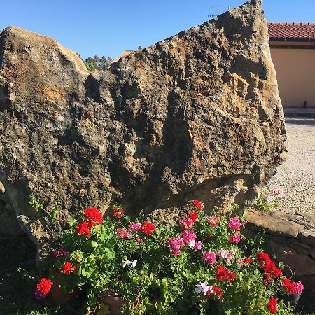 Agriturismo Sechi Campanedda Ngoại thất bức ảnh